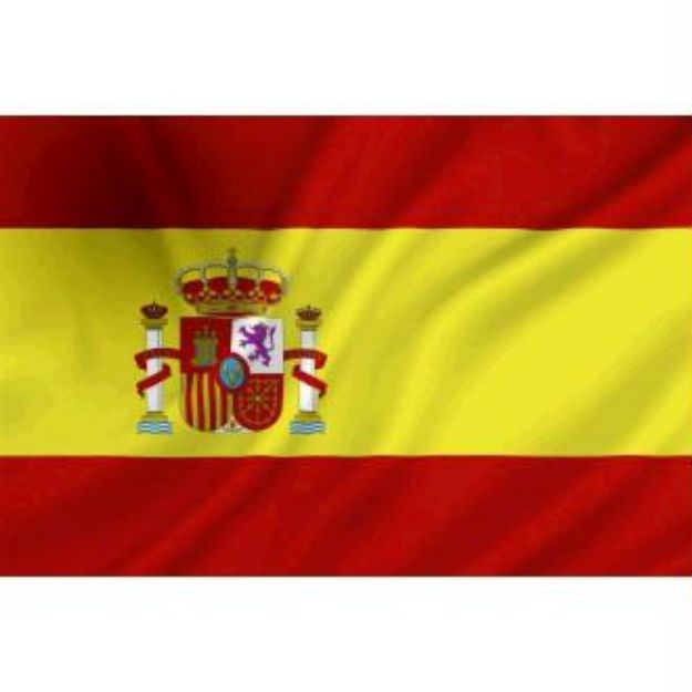 Vlag Spanje - 70x100cm